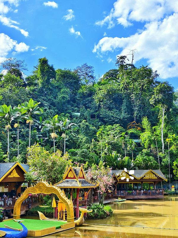 西双版纳原始森林公园图片素材