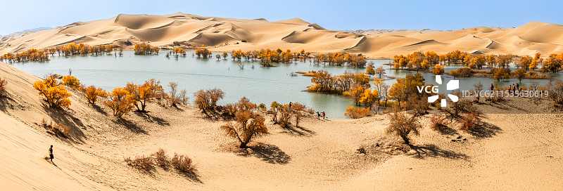 塔里木河与胡杨图片素材