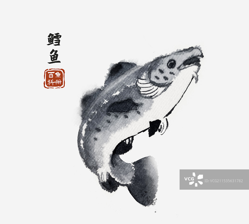 鳕鱼国风水墨百科鱼图鉴图片素材