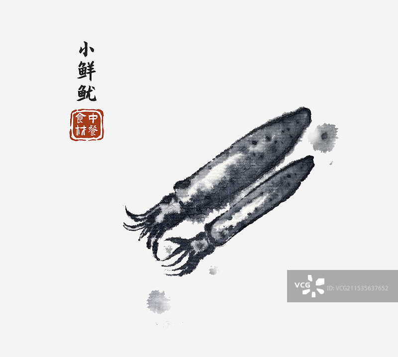 小鲜鱿食食材国风水墨图鉴图片素材
