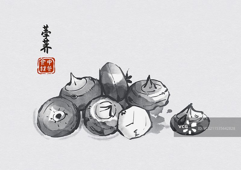荸荠美食食材国风水墨图鉴图片素材
