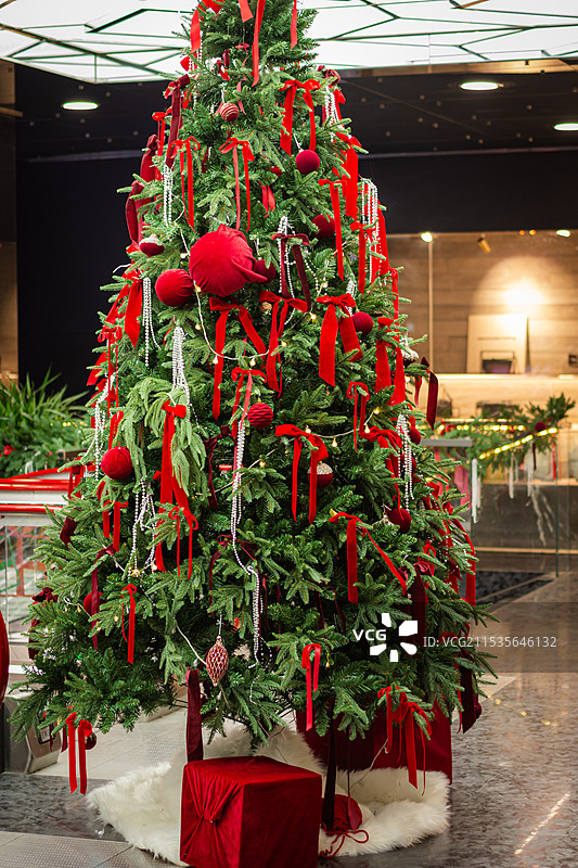 圣诞节圣诞树图片素材