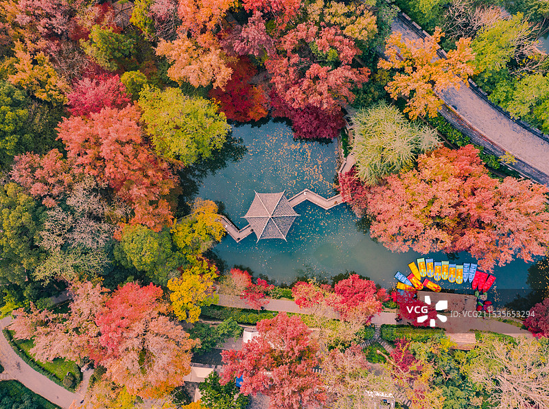 苏州常熟虞山公园的七彩秋色童话图片素材