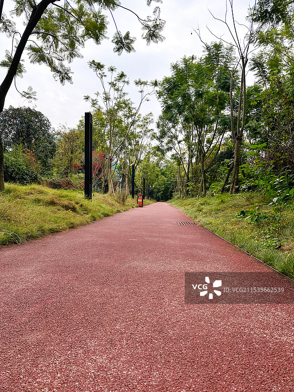 冬日，城市小径图片素材