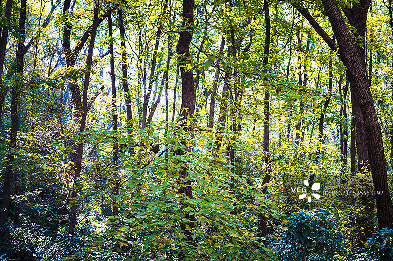 南京城市风景图片素材