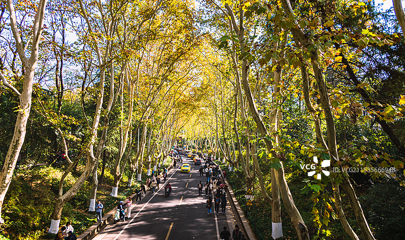 南京城市风景图片素材