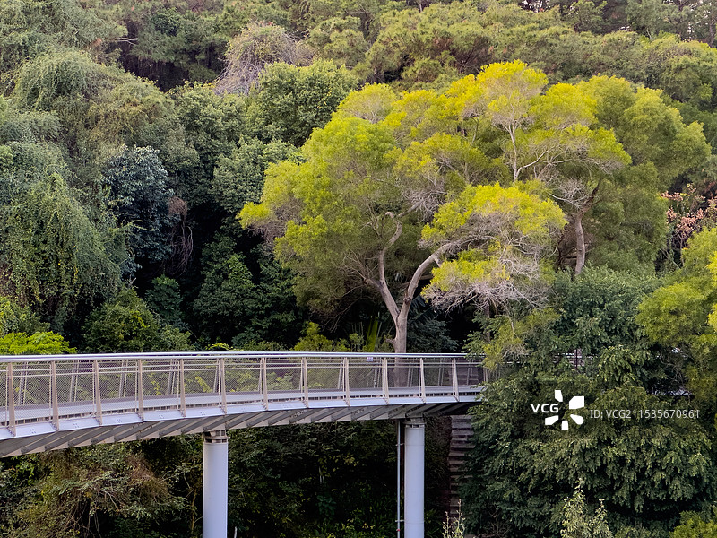 厦门健康步道狐尾山公园路段风光图片素材