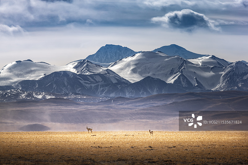 冬日里的温暖图片素材