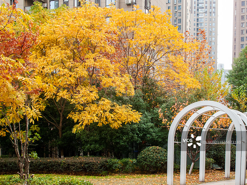 百瑞景社区中央花园图片素材