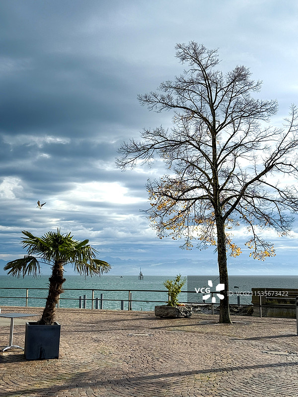 秋日午后暖阳下的博登湖畔图片素材