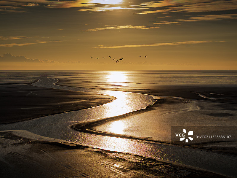 黄河入海口滩涂晨曲图片素材