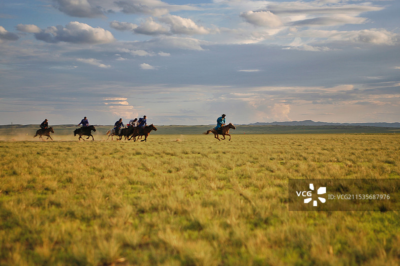 草原上策马奔腾图片素材