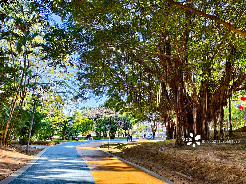 汕头华侨公园一角图片素材