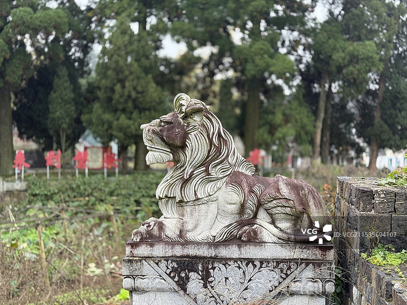 张氏宗祠门外石狮子图片素材