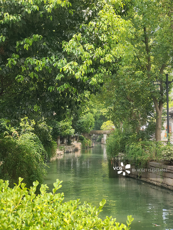 江苏苏州甪直古镇 夏天拍摄 小桥流水人家图片素材