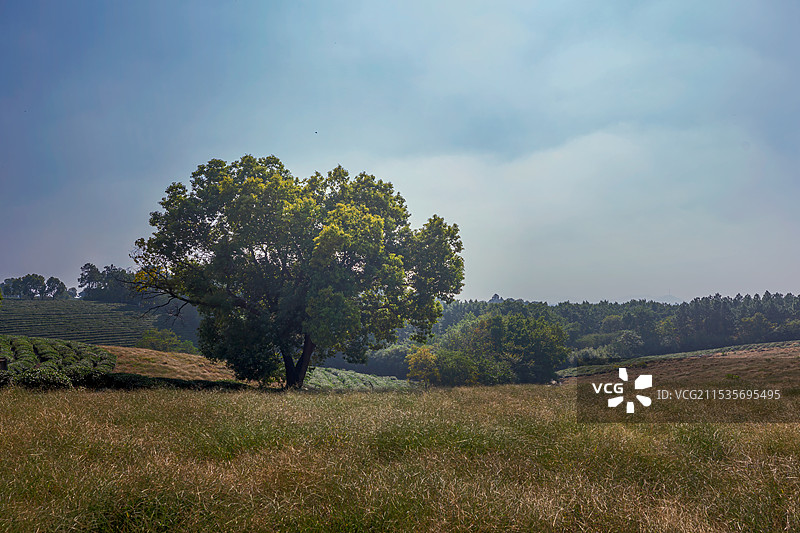 南京游子山风景区-真如禅寺真武庙林中栈道和周边田园风光图片素材