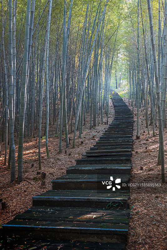 南京游子山风景区-真如禅寺真武庙林中栈道和周边田园风光图片素材
