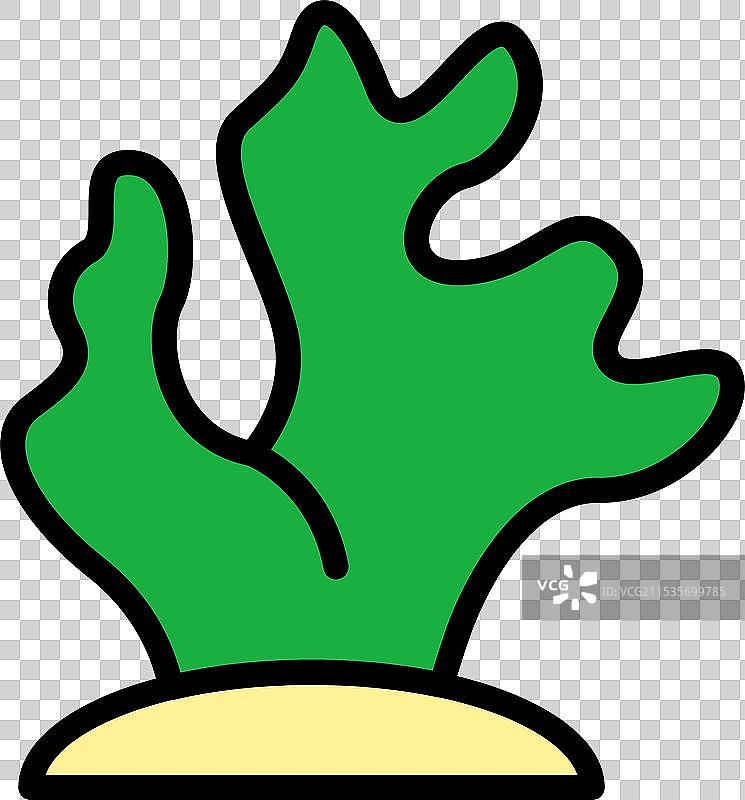 绿色海藻在海底生长图片素材