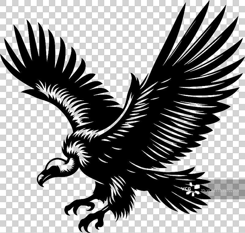 秃鹫艺术图片素材