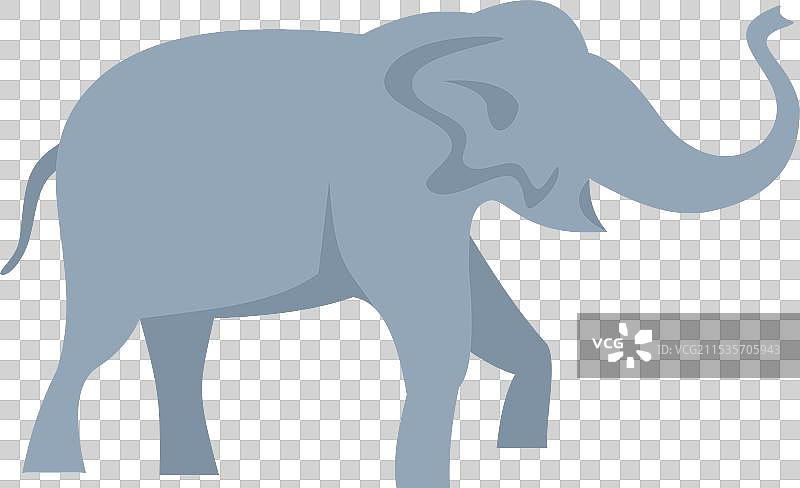 一只大型灰色大象正在行走并抬起象鼻图片素材