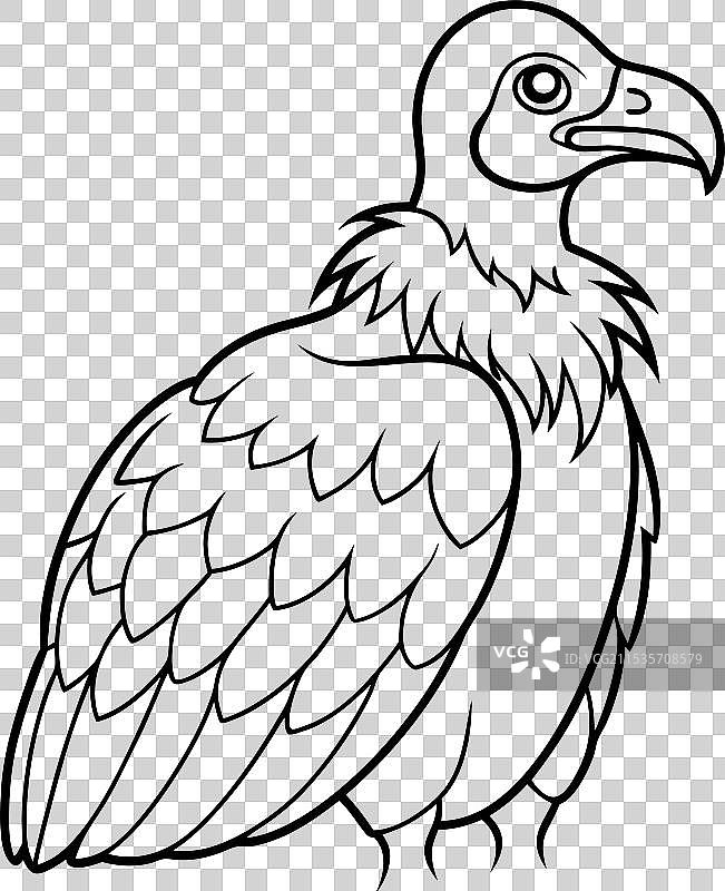 秃鹫剪影图片素材