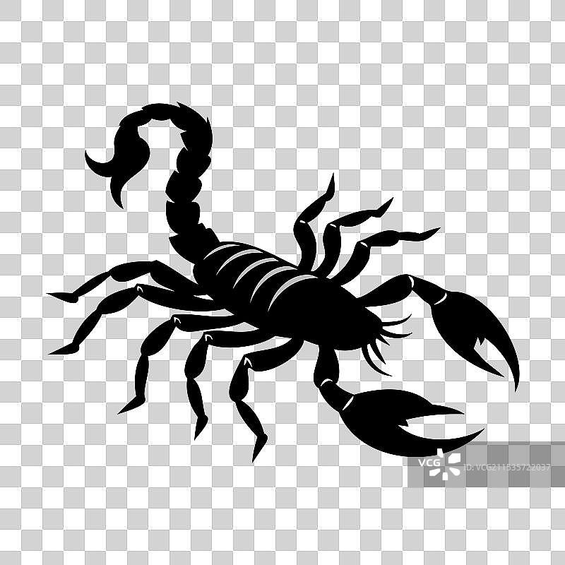 蝎子剪影图片素材