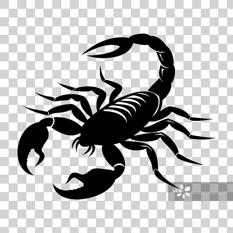 蝎子剪影图片素材