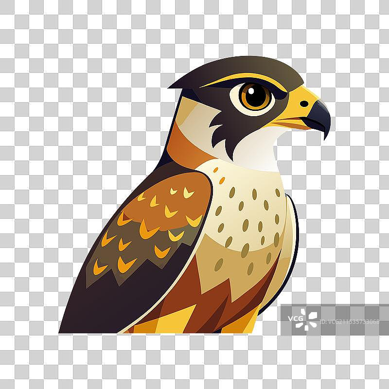 猎鹰鸟剪影图片素材