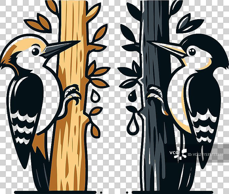 啄木鸟栖息在树干上图片素材