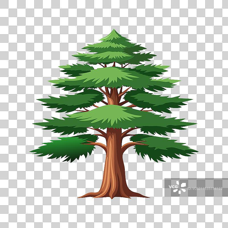 黎巴嫩雪松轮廓可用于标志设计图片素材