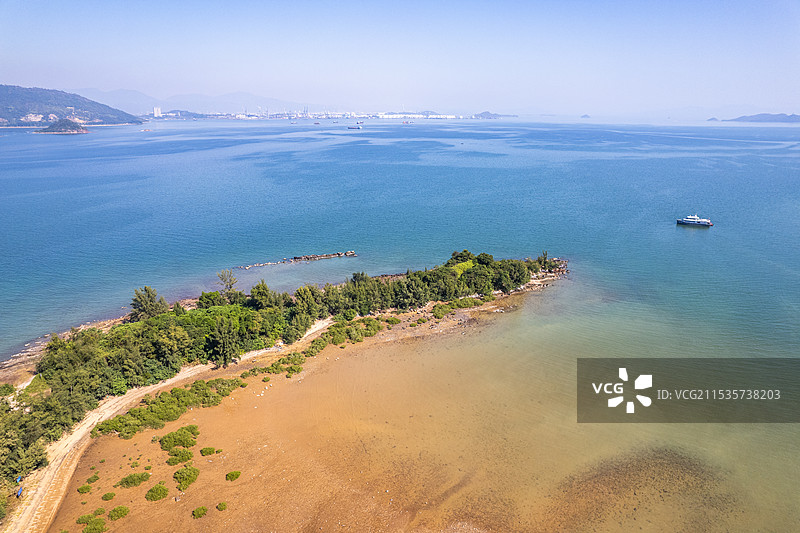 深圳坝光银叶树湿地园 深圳坝光红树林湿地图片素材