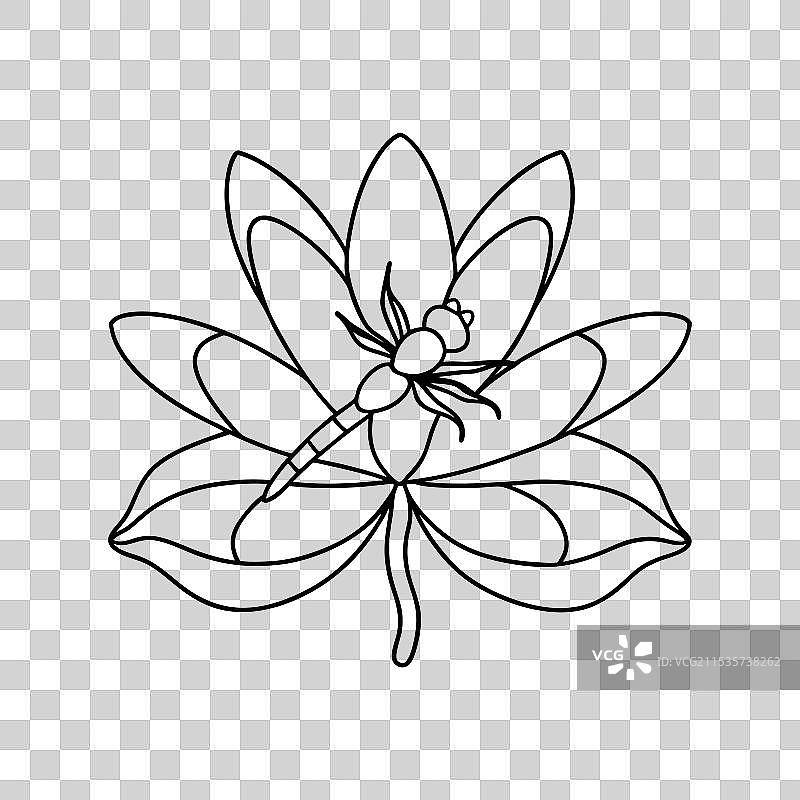 夏季的白莲花池图片素材