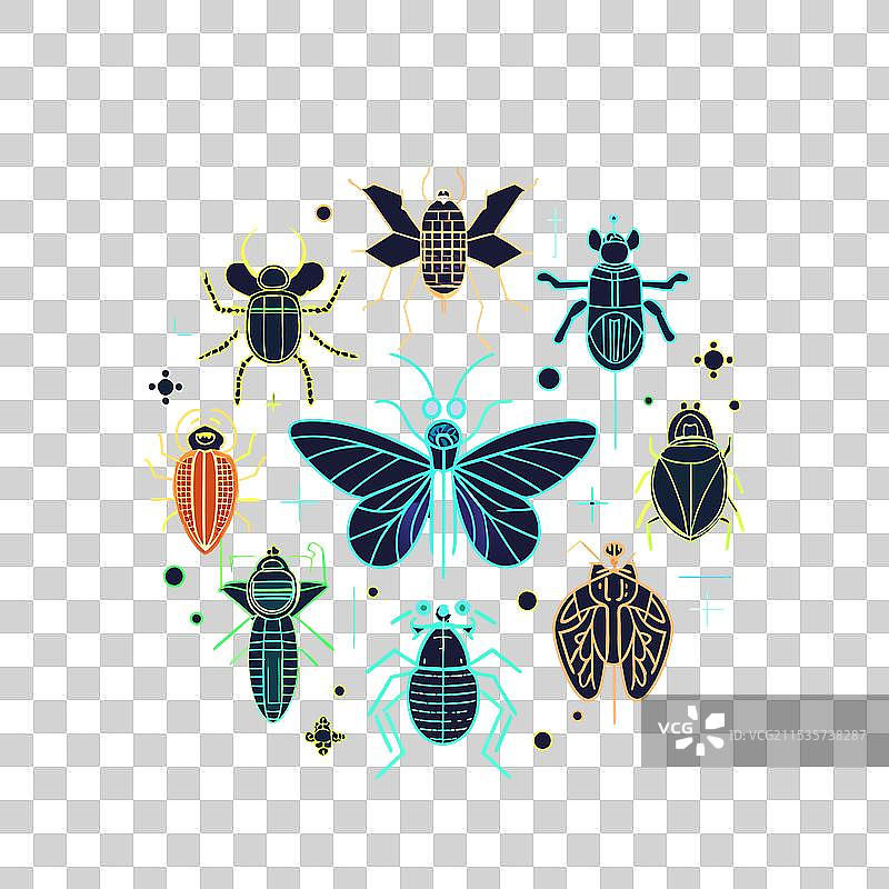 昆虫剪影套装图片素材