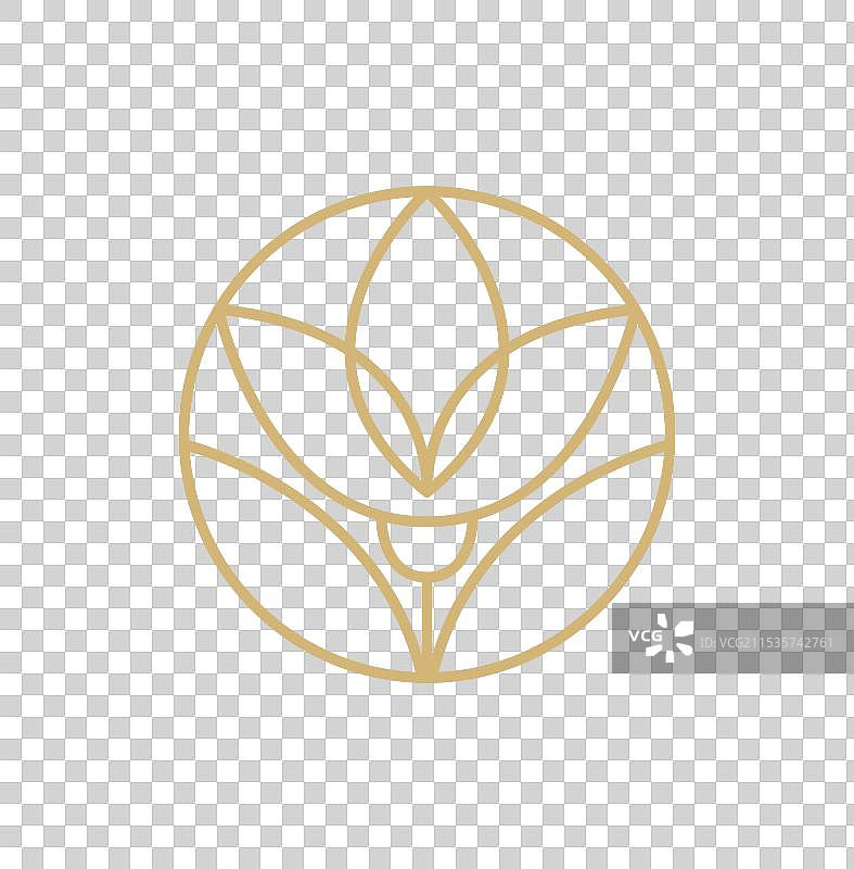 简单的植物郁金香圆形线条logo美学图片素材