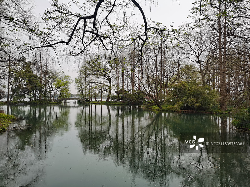 西湖美景三月天图片素材