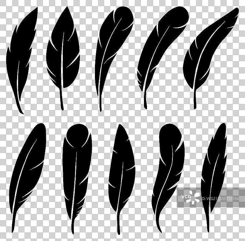 羽毛剪影集合图像图片素材