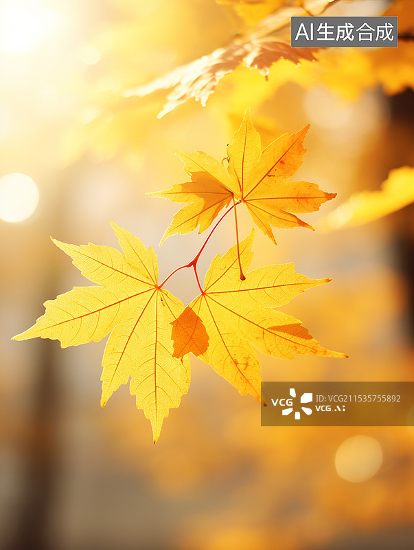 【AI数字艺术】秋天寒露节气阳光照射金黄色的红色枫叶图片素材