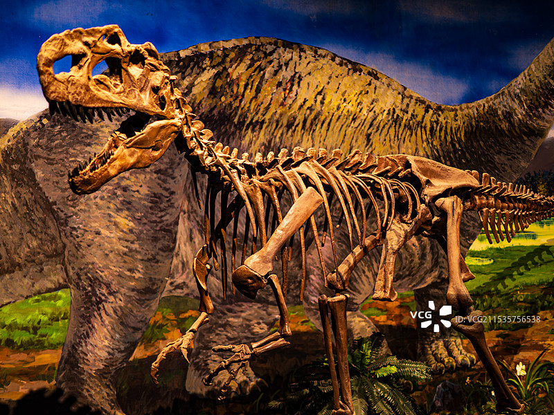 鄂尔多斯康巴什旅游区图片素材