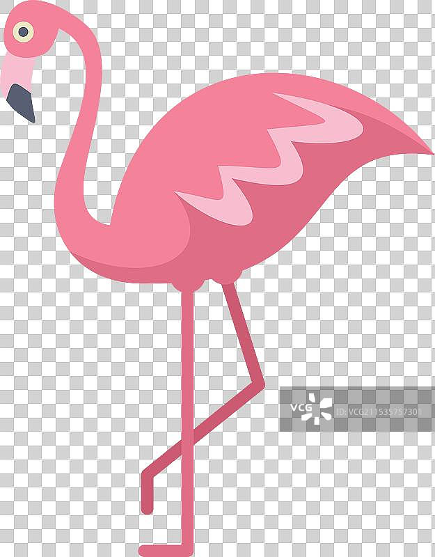 极简风格的粉色火烈鸟单腿站立图片素材