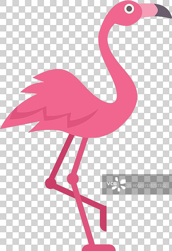 极简风格的粉色火烈鸟单腿站立图片素材