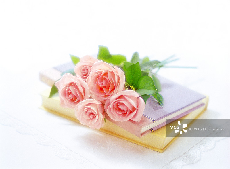 书和玫瑰图片素材