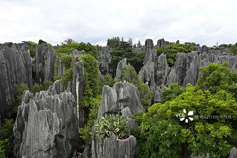 世界自然遗产、世界地质公园——中国云南省昆明市石林风景区“望峰亭”风光图片素材