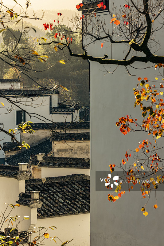 塔川秋色图片素材