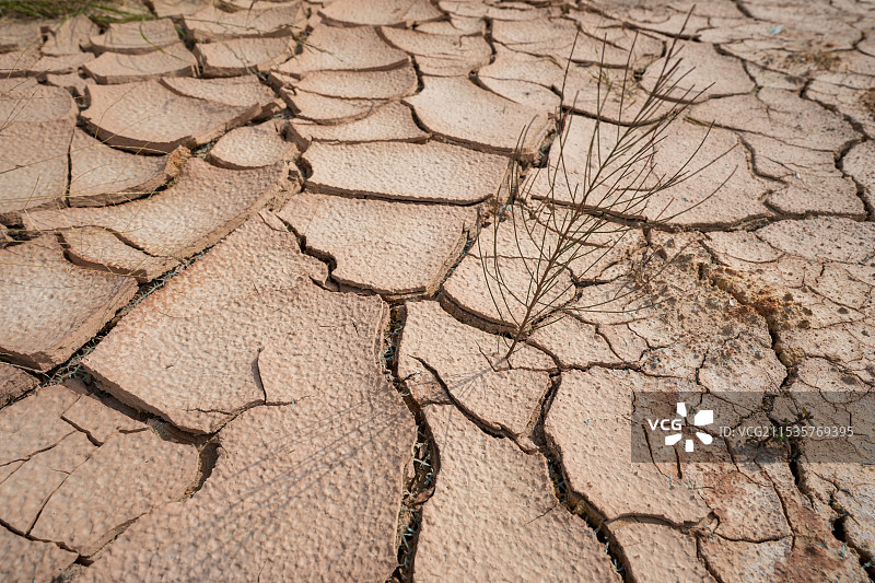 干旱土地开裂图片素材