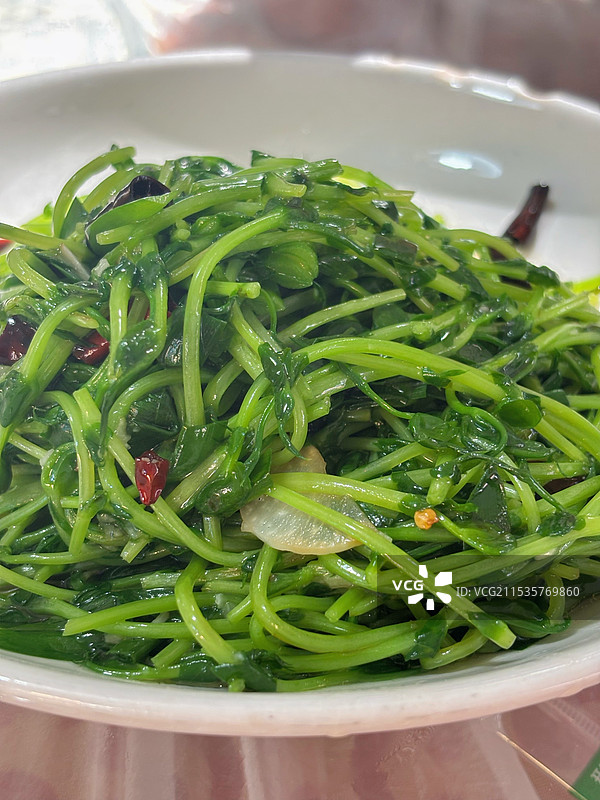 清炒相思菜图片素材