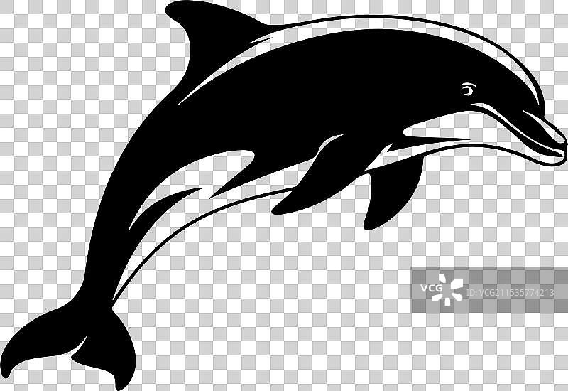 海豚的剪影图片素材