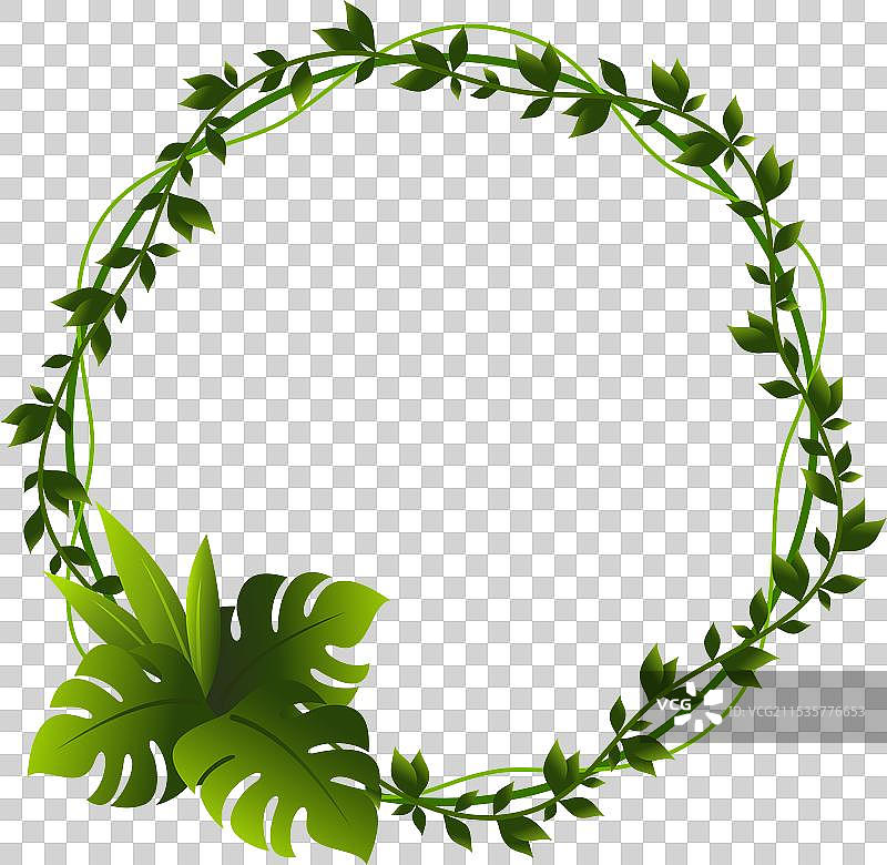 绿色热带植物叶子的圆形框架图片素材