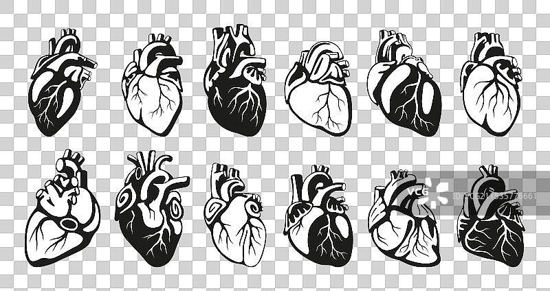 人类心脏不同形状的黑色单色系列图片素材