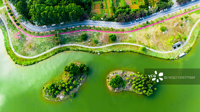 云浮市郁南县大王山国家森林公园图片素材