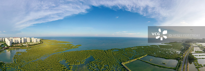 北海金海湾红树林生态旅游区图片素材